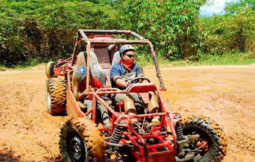 Off-Road Buggy & ATV Adventure